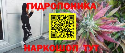 сатива Ангарск