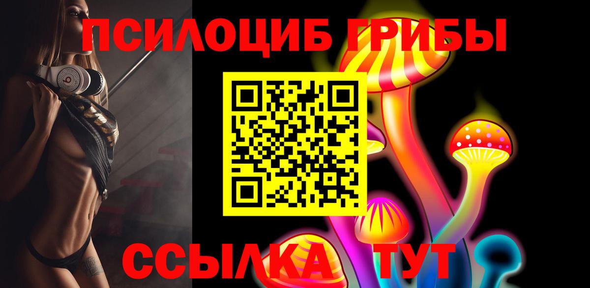 Галлюциногенные грибы Psilocybe  Вход с VPN  Богданович 